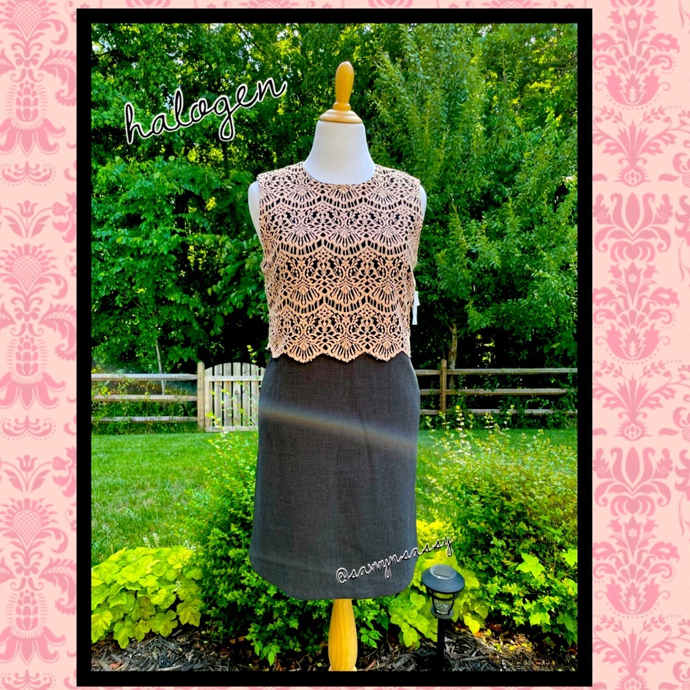 Halogen Lace Overlay Dress